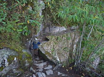 Machu Picchu Trail To Draw Bridge