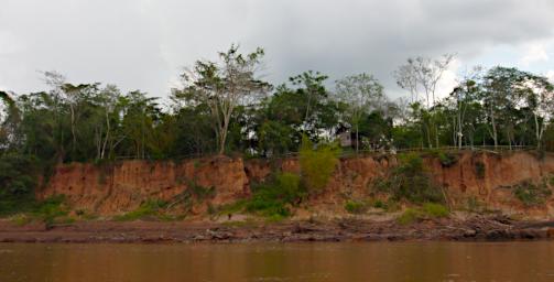 Tambopata P9280671