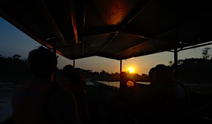 Tambopata Sunrise