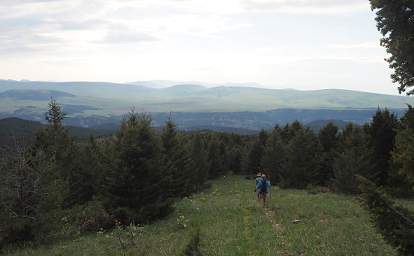 Looking W From Old Baldy Trail331