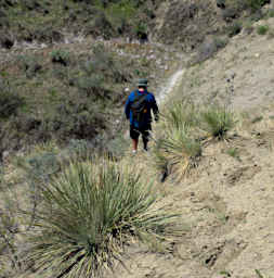 Valley Of Walls Randy