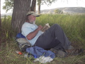 Bill reading