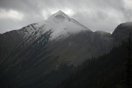 Bruce Creek Country