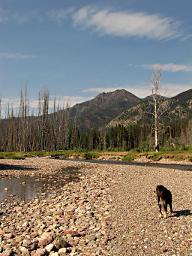 South Fork Flathead Country