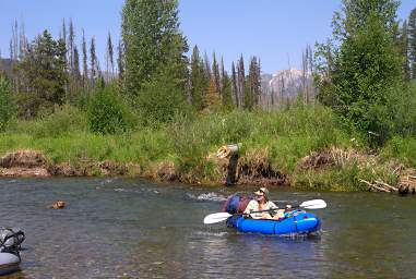 Packboats WDogs