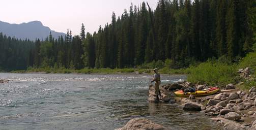 Fishing