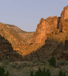 DesoGray_0069_20160819
