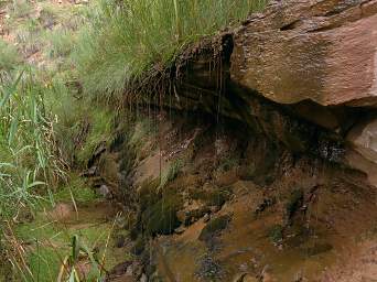 Camp3 Side Canyon
