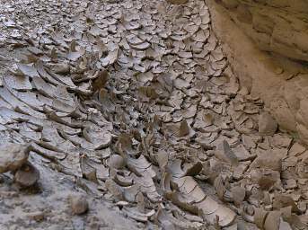 School Section Canyon Dried Mud