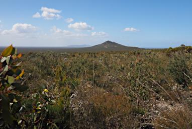 Fitzgerald NP 