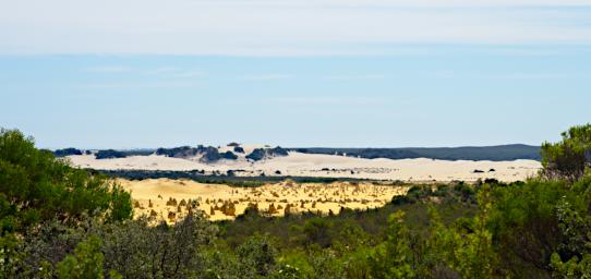 Pinnacles