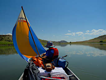 Jack Sailing