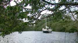 Malakii in Jungle, Rio Chacón Machaca