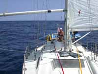 Lynde at Helm