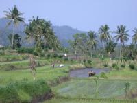 North Coast