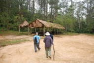 Park Headquarters