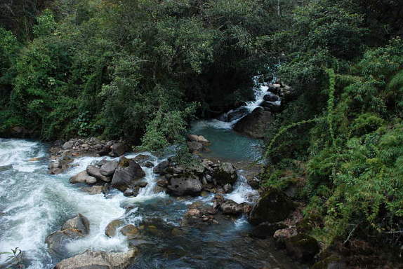 Papallacta River and Tributary Confluence