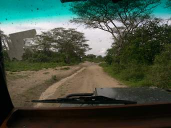 Road After Rain