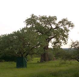 Camp Shower