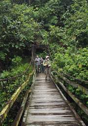 Copalinga Bridge Ram Dawn Gary