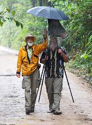 Copalinga Gary Ram Umbrella