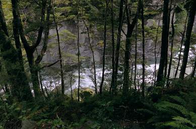 Alps Creek