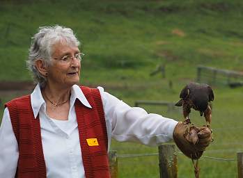 Rotorua Wingspan New Zealand Falcon Worried Woman