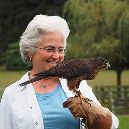 Rotorua Wingspan New Zealand Falcon Dona