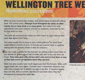Wellington Tree Weta Sign