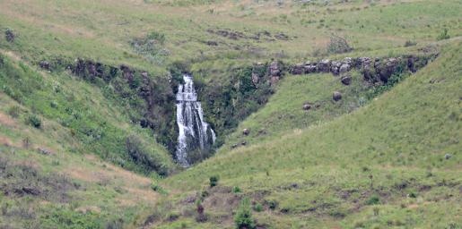 Kitulo