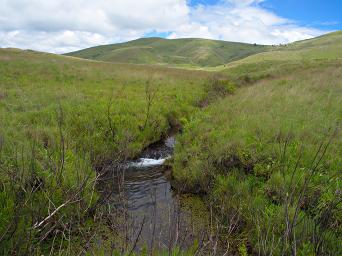 Kitulo Great Ruaha R