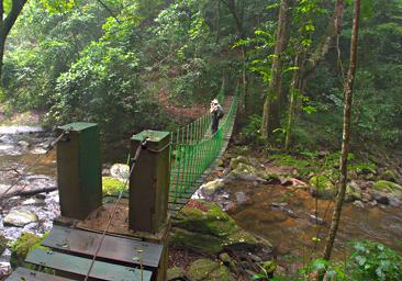 Udzungwa Mts Bridge Gary