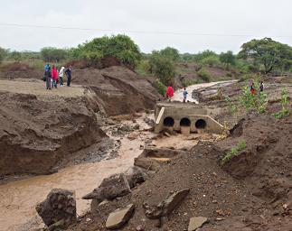 Walk Safari Bridge Washout