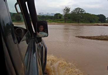 Walk Safari High Water