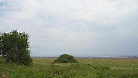 Walk Safari Lk Manyara