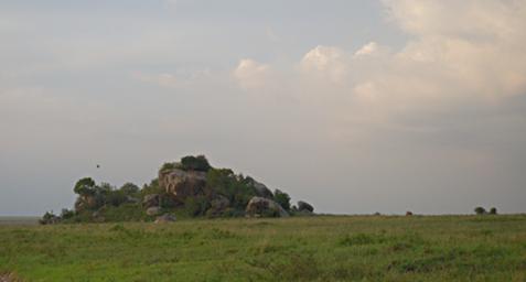 Walk Safari Kopje