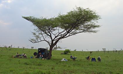 Walk Safari Camp1