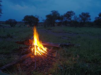 Walk Safari Campfire