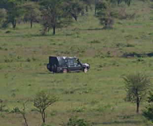 Walk Safari Land Cruiser