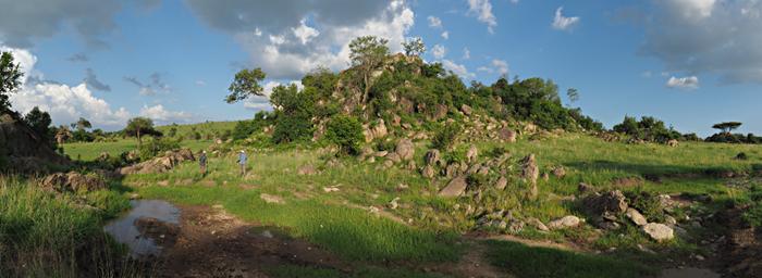 Walk Safari
