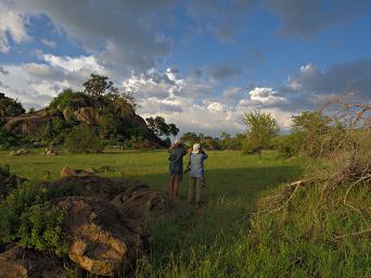 Walk Safari