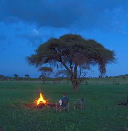 Walk Safari Camp4