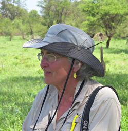 Walk Safari Dona
