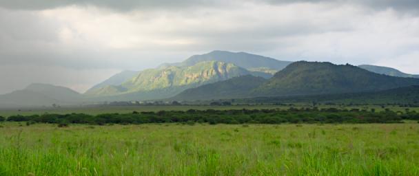 Mkomazi
