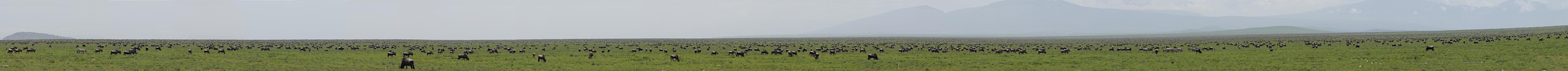 Ndutu