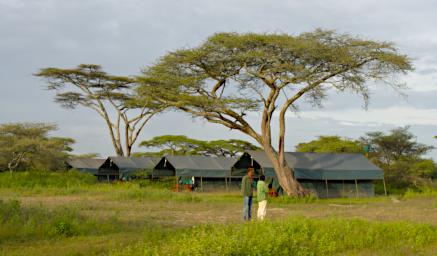 Ndutu Flycatcher Camp